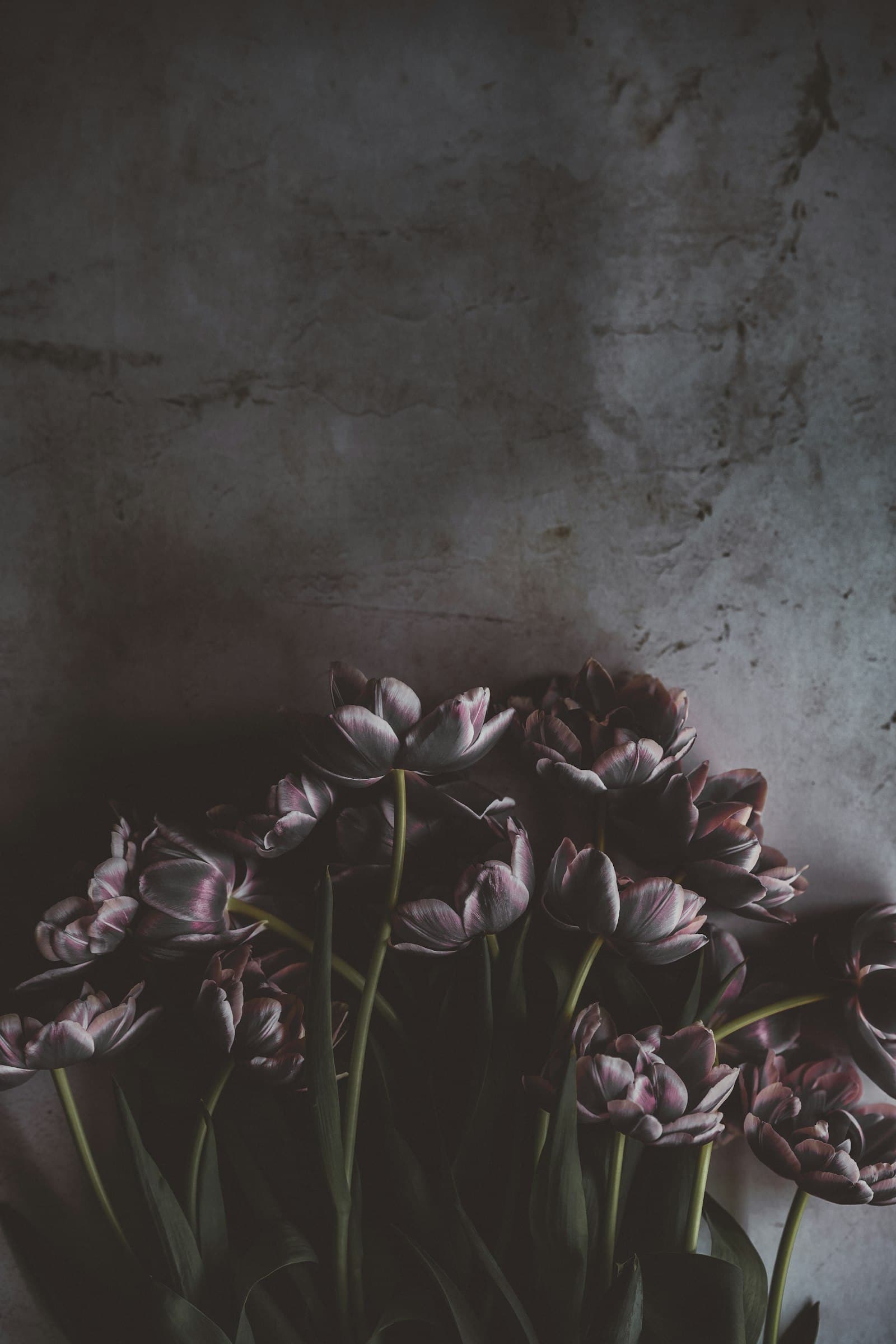 A deep toned arrangement in low light